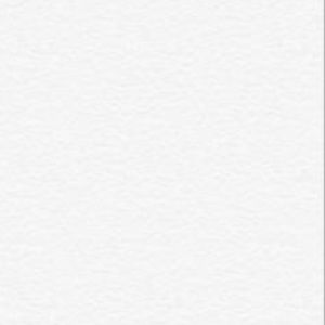 Meet your Posher, Jace